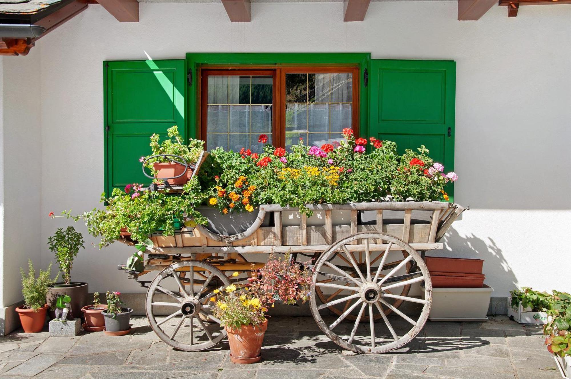 מאדסימו Ginepro Casa Vacanze מראה חיצוני תמונה